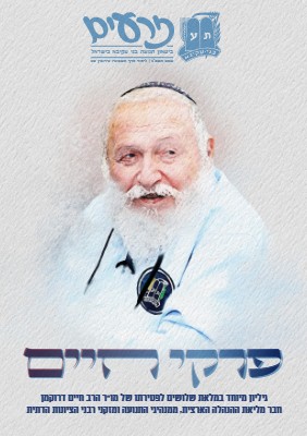 גיליון זרעים